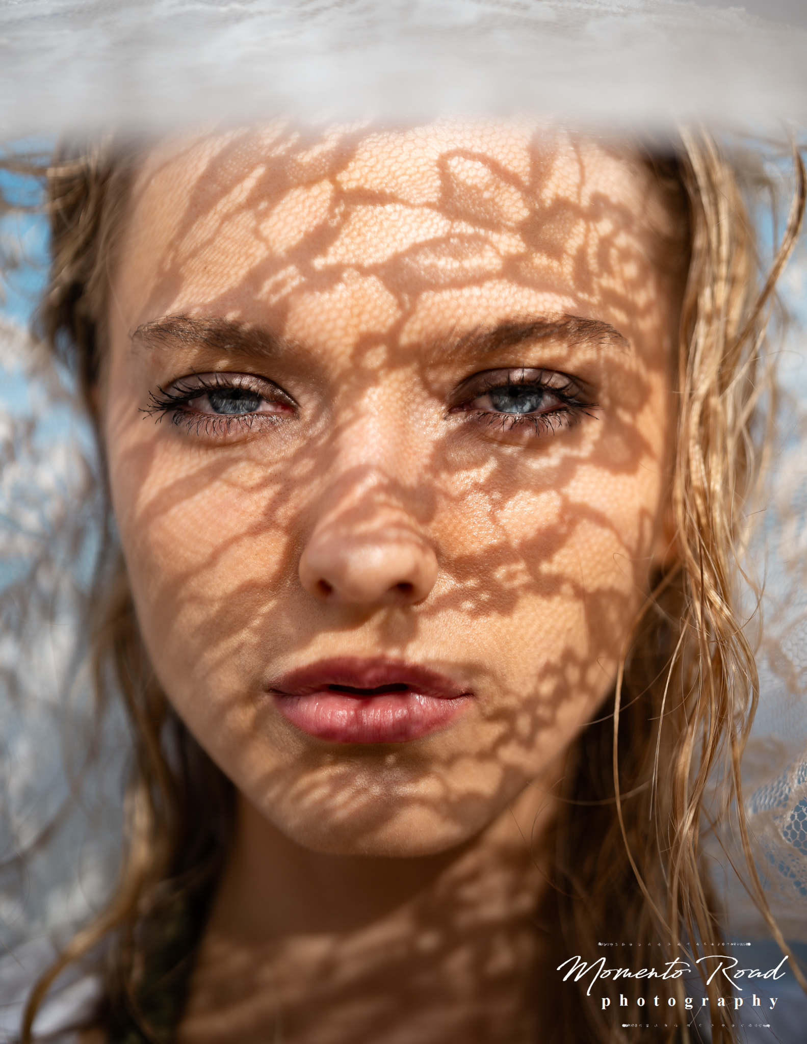 web_2023H_A7404768